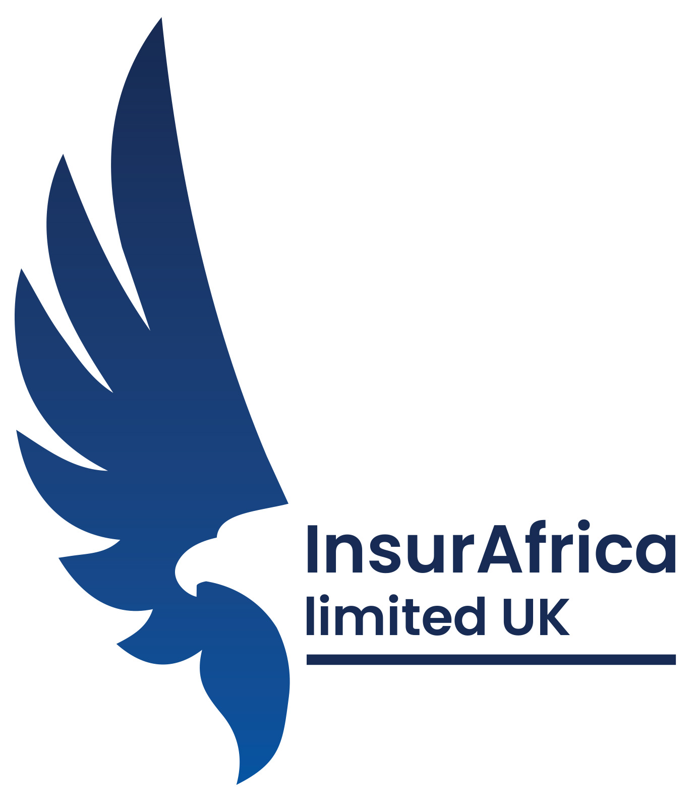 InsurAfrica Hi-Res InsurAfrica Logo