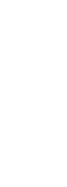 InsurAfrica White